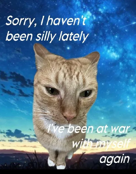 Cat at War With Himself