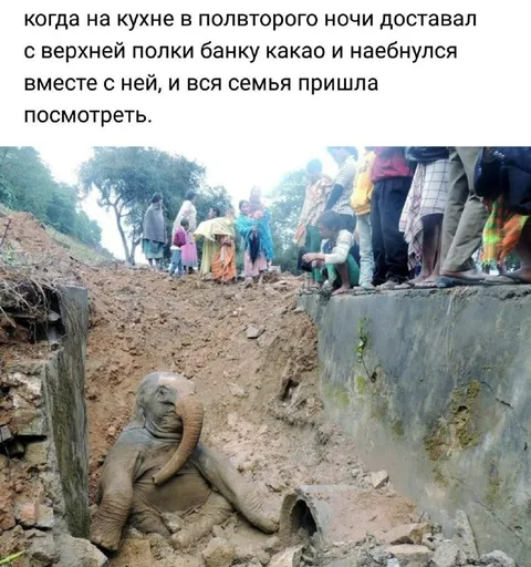 Когда вся семья пришла посмотреть