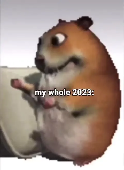 My Whole 2023 Hamster