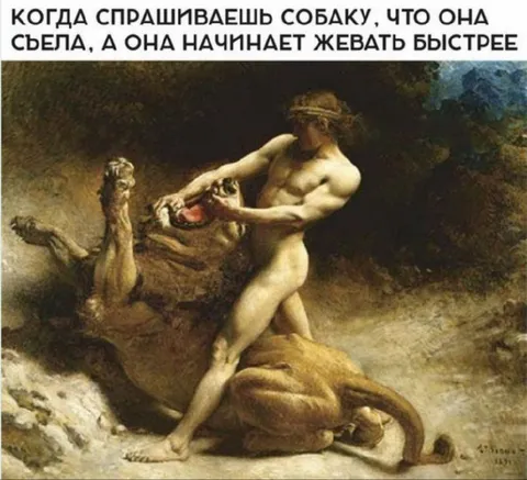 Собака начинает жевать быстрее