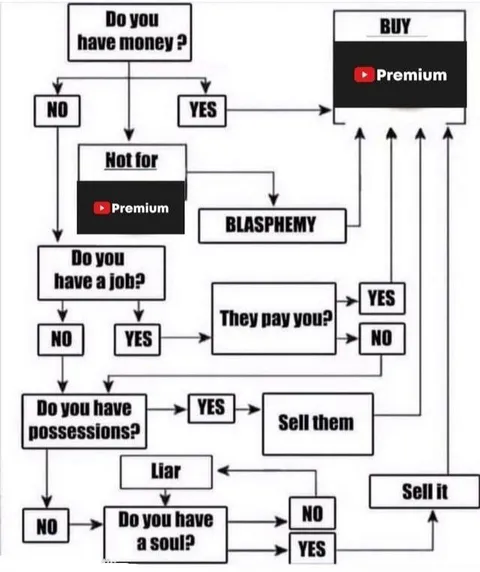 Do You Have Money Premium Flowchart