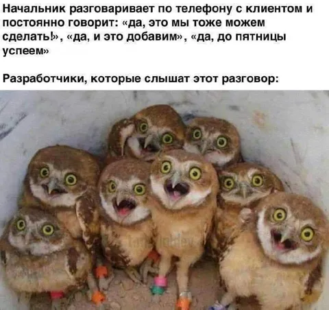 Разработчики слышат обещания начальника