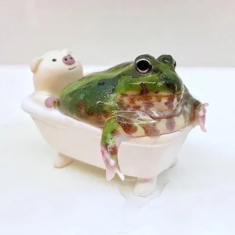 Лягушка принимает ванну