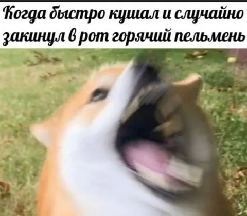 Горячий пельмень во рту