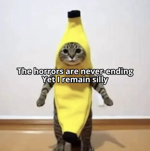 Silly Cat Despite Endless Horrors