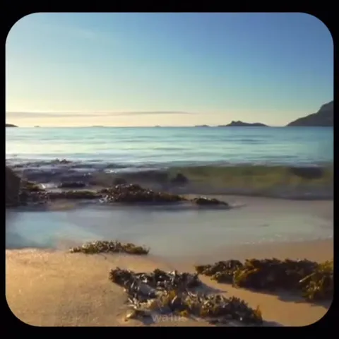 IELTS Listening Test in Nature