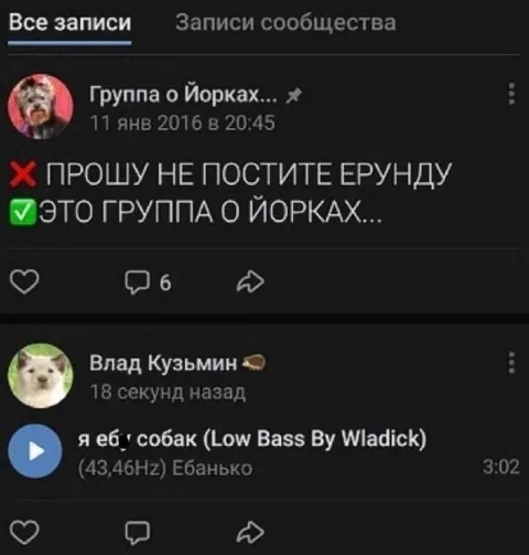 Я ебу собак в группе о йорках