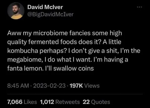 Microbiome Wants Kombucha