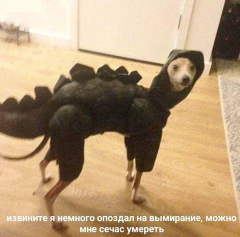 Опоздал на вымирание