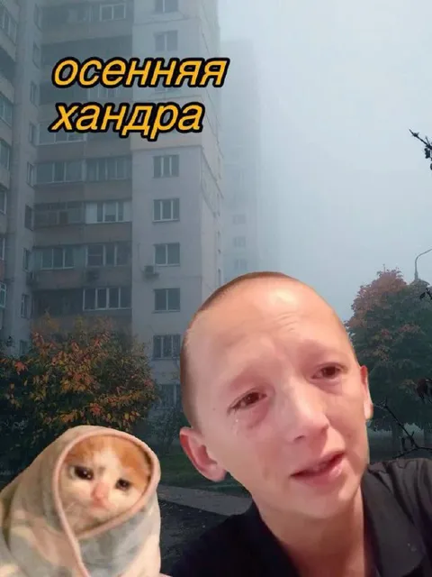 Осенняя хандра с котом