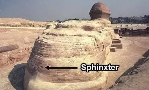 Sphinxter From Behind