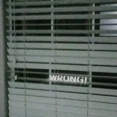 Wrong Window Blinds