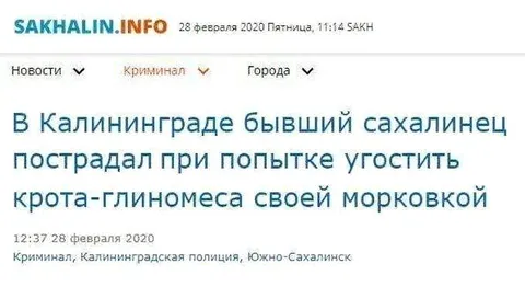 Сахалинец угостил крота морковкой