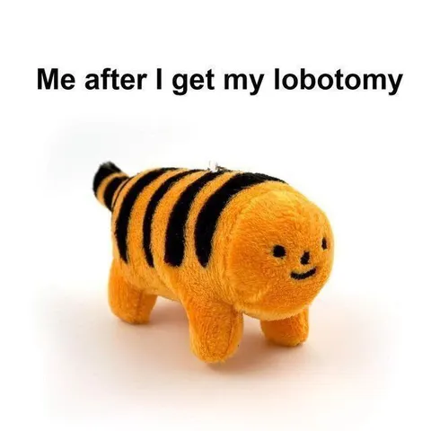 Me After Lobotomy