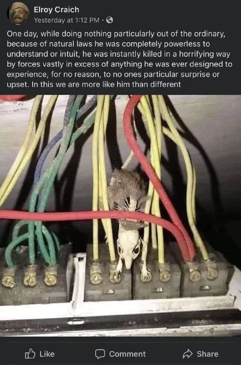 Mouse Defeated by Natural Laws