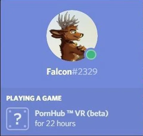 PornHub VR на 22 часа