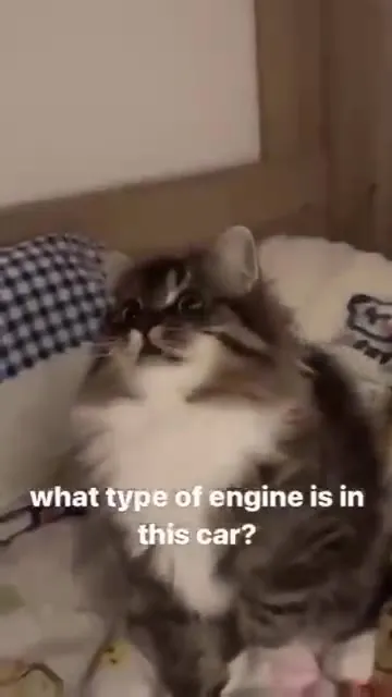 What Type of Engine Is in This Car?