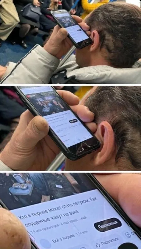Петух в тюремной зоне