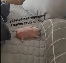 Уважаемая черешня и стоп-слово