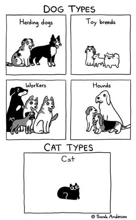 Dog Types Cat Type