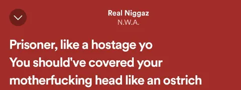 Cover Your Head Like an Ostrich