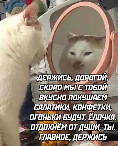 Держись, скоро будет праздник