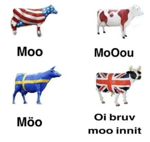 Cows Around the World