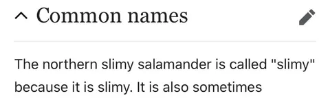 Slimy Salamander Common Name