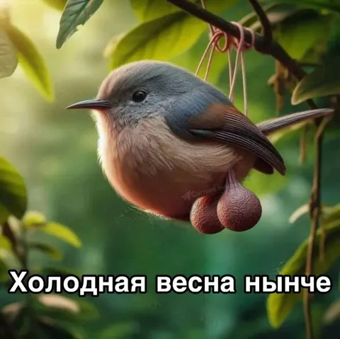 Холодная весна нынче