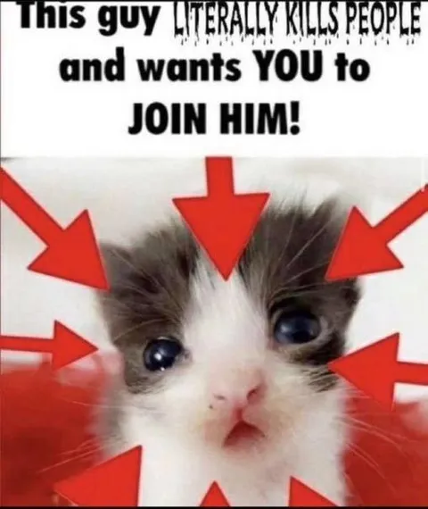 Cat Wants You to Join Him