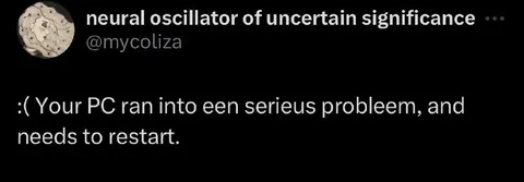 Your PC Ran Into a Problem