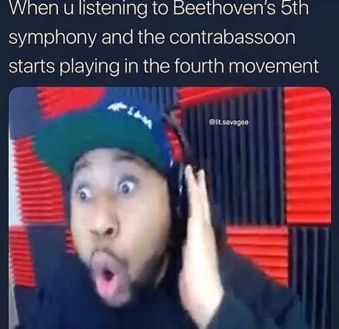 Beethoven Fifth Contrabassoon Surprise