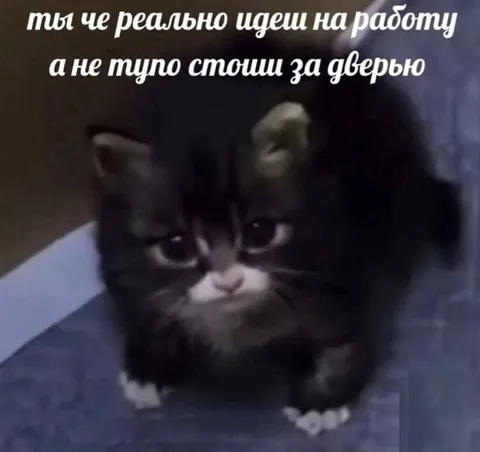 Кот стоит за дверью вместо работы