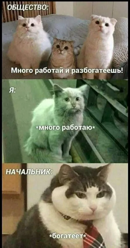 Много работай — начальник богатеет