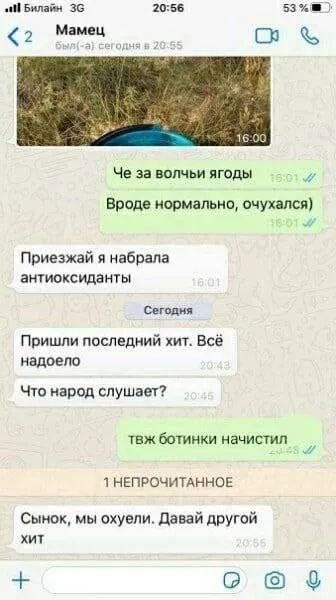 Волчьи ягоды и последний хит