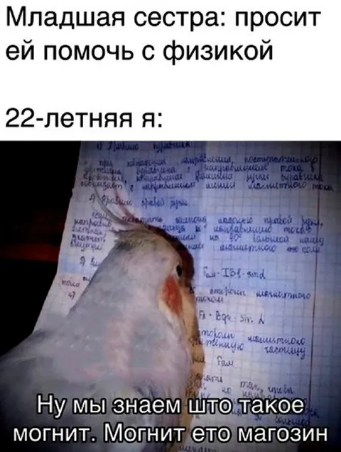22-летняя я и физика
