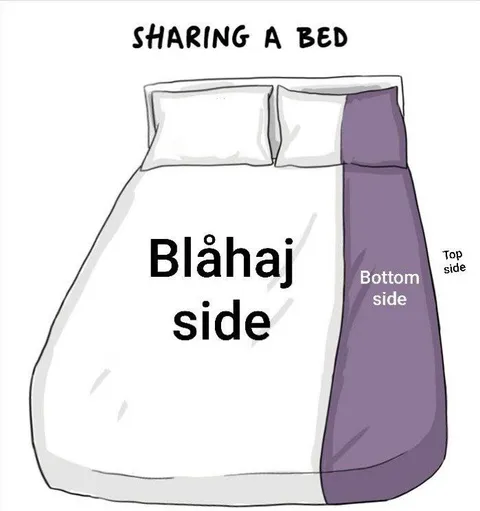 Blåhaj Side of the Bed