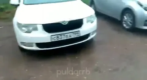 Собака гонится за сосиской