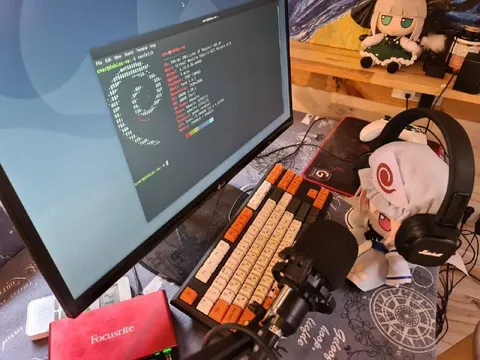 Programmer Setup With Anime Plushies