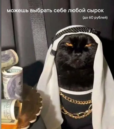 Кот выбирает сыр до 60 рублей