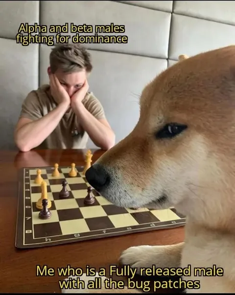 Fully Released Male Plays Chess