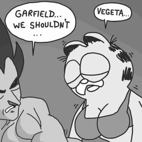Garfield and Vegeta Shouldn't