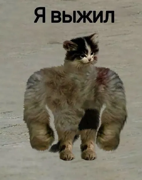 Я выжил котёнок-мутант