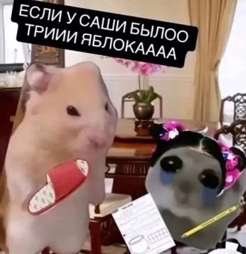 Если у Саши было три яблока