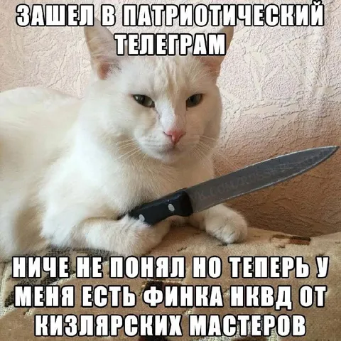 Кот с финкой НКВД