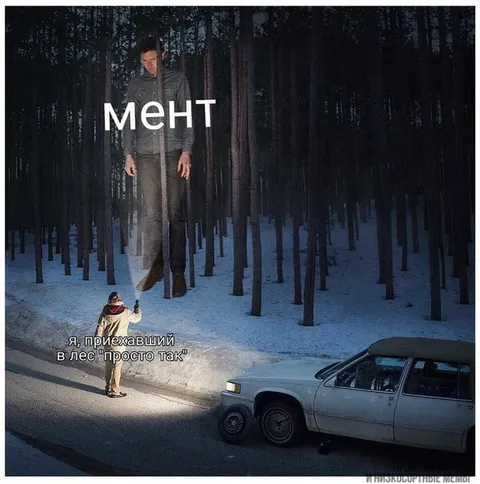Мент в лесу просто так