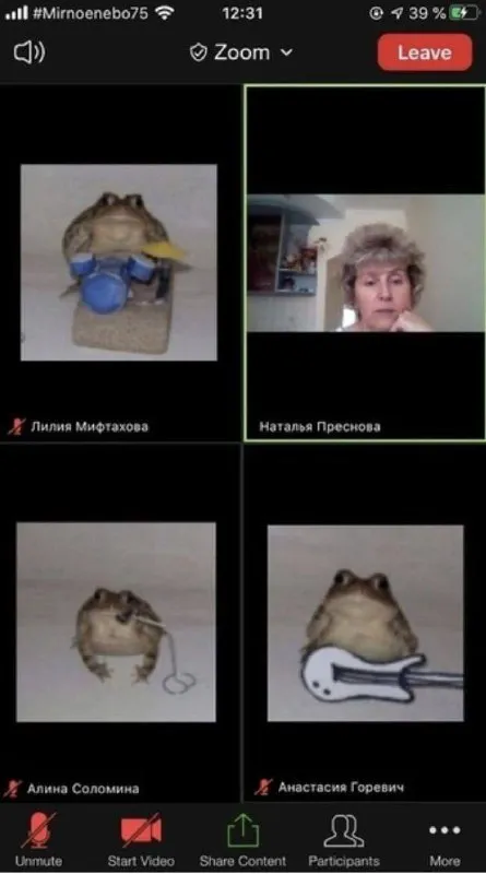 Лягушки на видеоконференции
