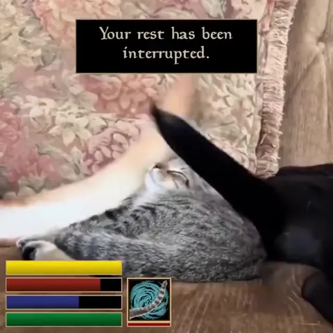 Cat Rest Interrupted Save Game
