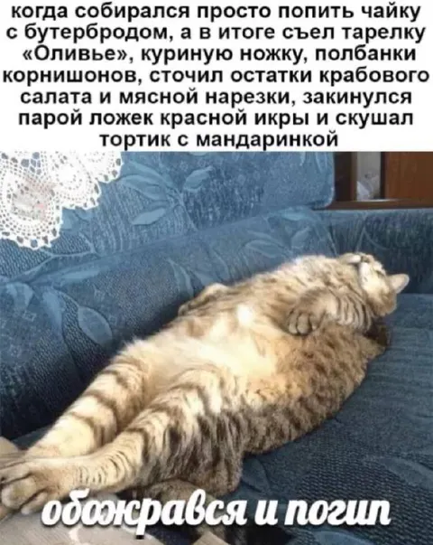 Обожрался и погиб