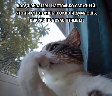 Когда экзамен слишком сложный